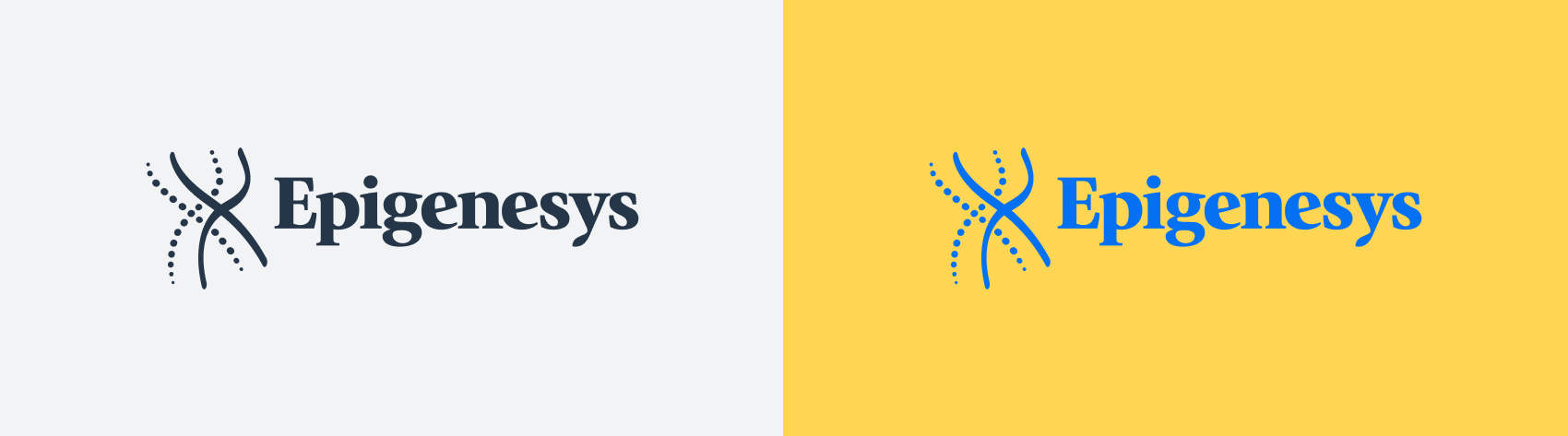 Two versions of the Epigenesys logo, one dark on a light background, and one blue on a bright yellow background.